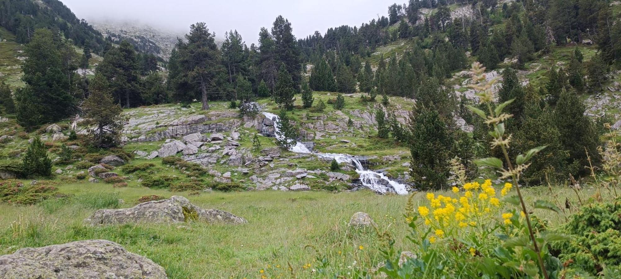 Apartamento El Refugio De Sara Benasque Exterior foto
